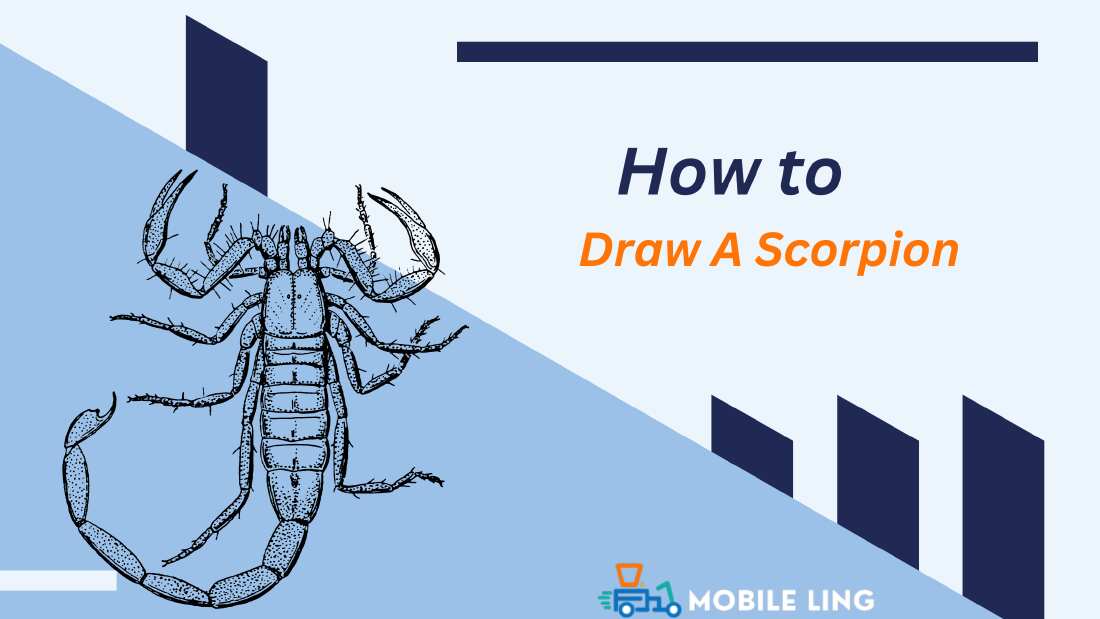 How to Draw A Scorpion